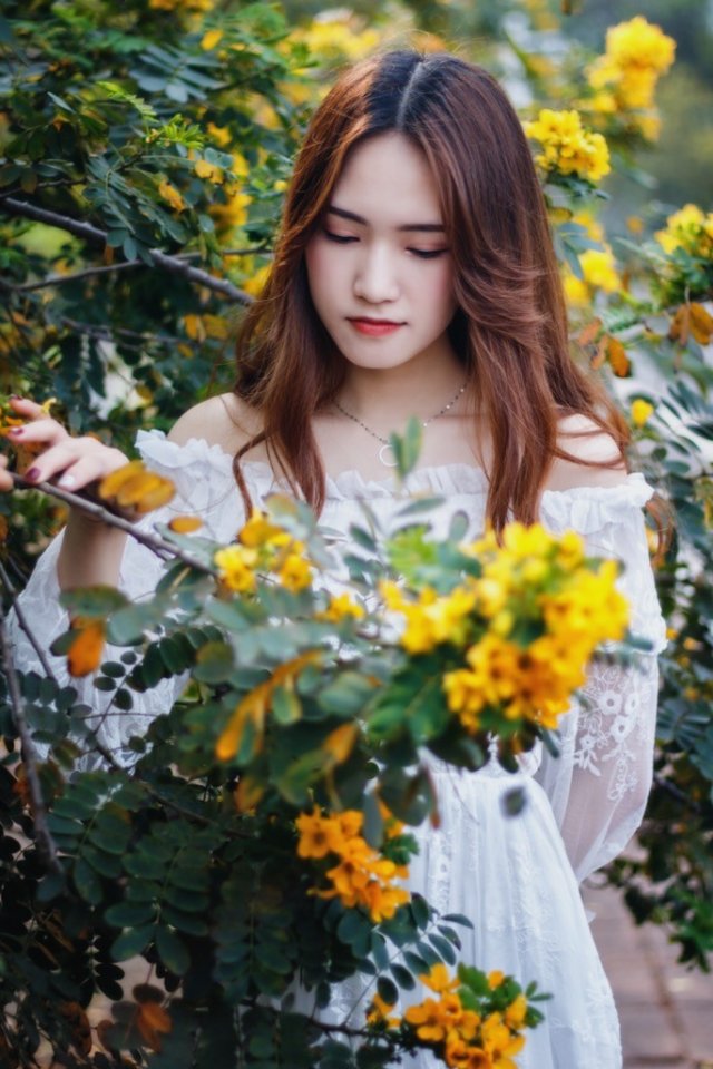 春暖花開春意盎然,懷春美人靜待君來